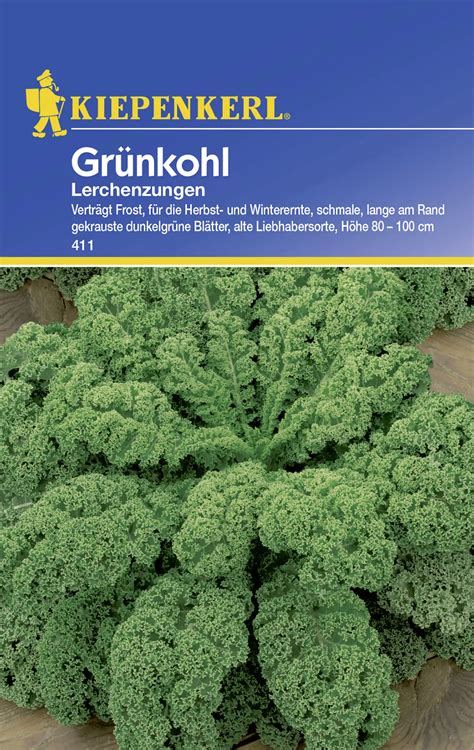 Kiepenkerl Grünkohl Lerchenzungen Brassica oleracea var sabellica