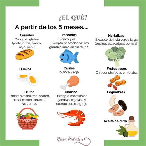 Guía Rápida De La Alimentación Complementaria Xicotets Centros De