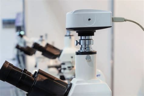 New & Refurbished Name Brand Microscopes, Parts, & Service – Microscope ... 