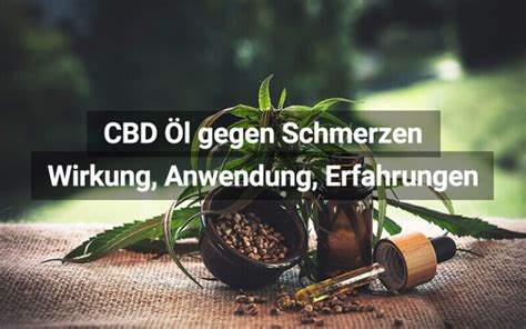 Cbd Bei Schmerzen Creme L Wirkung Erfahrungen