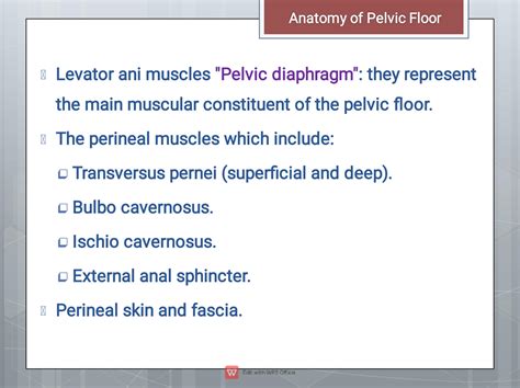 SOLUTION Pelvic Floor Exercises Studypool