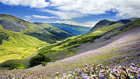 Araku Valley | OSR Vacation