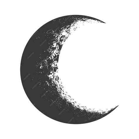 Silueta De Luna Creciente Sólo Color Negro Vector Premium