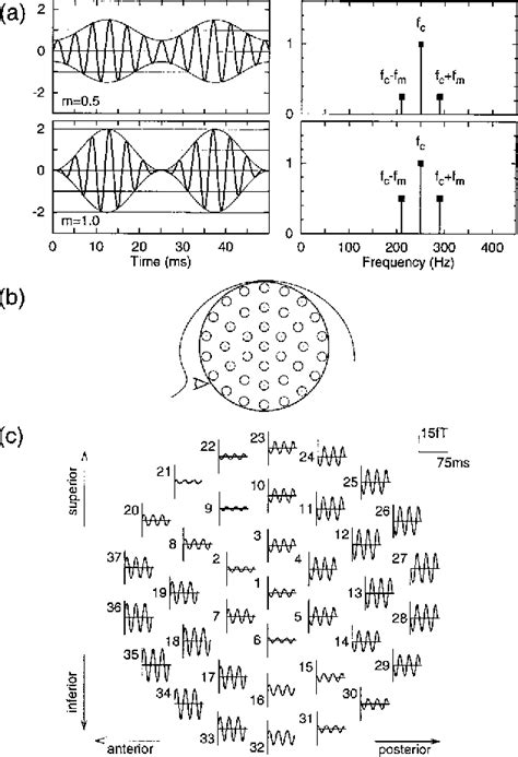 Figure From A High Precision Magnetoencephalographic Study Of Human