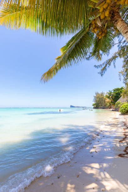 Apprendre Le Créole Mauricien Astuces Pour Débutants Vivre A Maurice