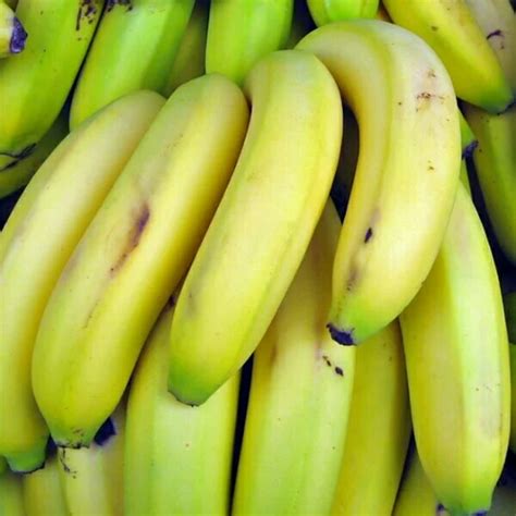 Bananas In Madurai Latest Price Mandi Rates From Dealers In Madurai