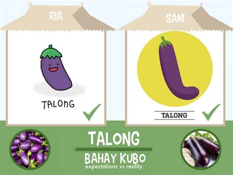 Bahay Kubo Vegetables: Expectations vs Reality - When In Manila