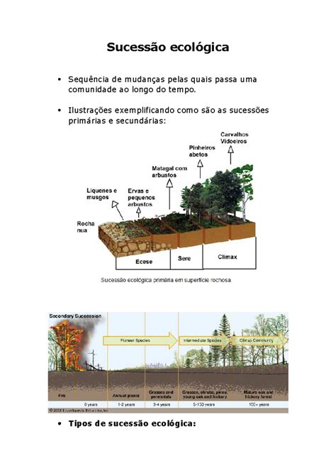 Sucessão Ecológica Exercícios - Etapas Da Sucessão Ecológica - GITEDU