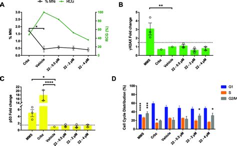 Compound Exhibits Some Cytotoxic But No Genotoxic Activities In Tk