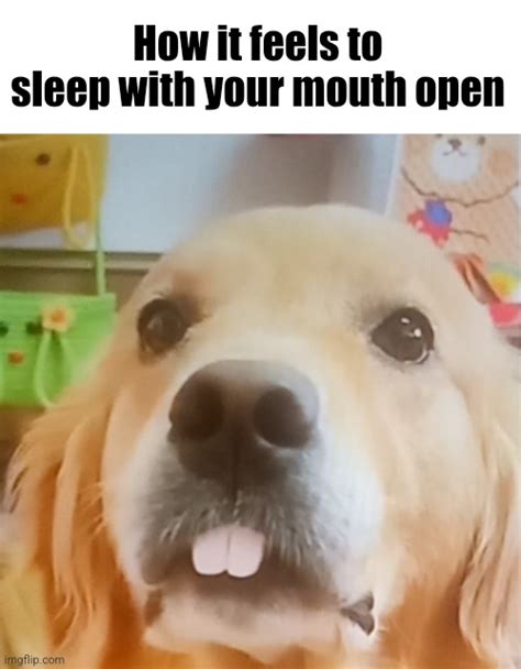 mouth imgflip