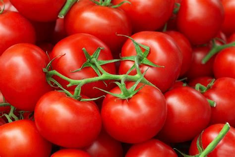 Tomatoes in Winter – Unity Foods – Local Food Distributor