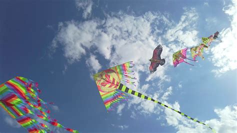 Kite Flying Stock Video Footage for Free Download