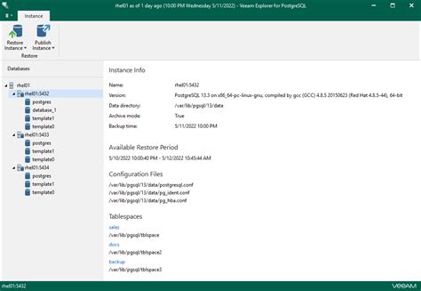 Viewing Instance Information Veeam Backup Explorers Guide