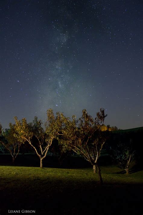 "Stars over Fancy Gap Cabins & Campground" by Leiane Gibson