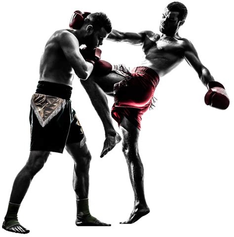 Muay Thai Png