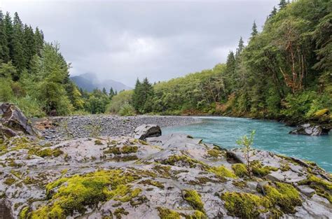 The Hoh Rainforest: Our Photo of the Week