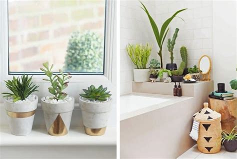 15 plantas para banheiro que vivem bem no espaço ARTEX