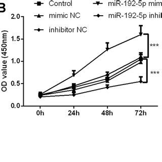 The Effect Of MiR 192 5p On Cell Proliferation And Migration In VSMCs