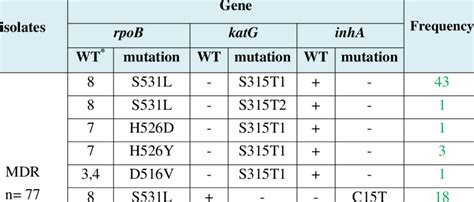 Band Patterns Of Gene Mutations Detected By Genotype Mtbdr Plus