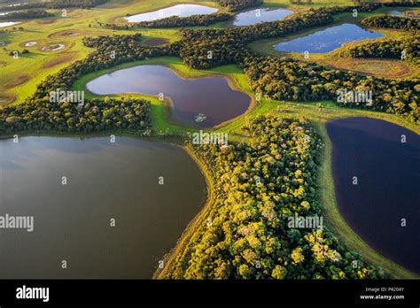 Aquidauana Ms Baias Salinas Pantanal Pantanal Sul Barra Mansa