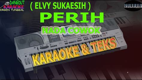 Karaoke Dangdut PERIH ELVY SUKAESIH NADA COWOK Kybord KN2400 2600 YouTube