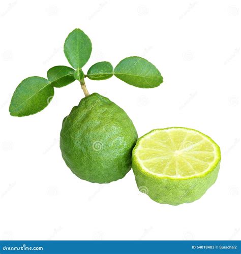 Fresh Bergamot And Bergamot Leaves On White Stock Image Image Of