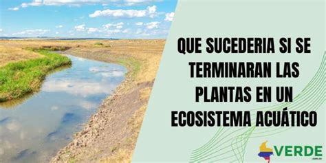 Ecosistema Acuático Y Su Cadena Alimenticia Colombia Verde