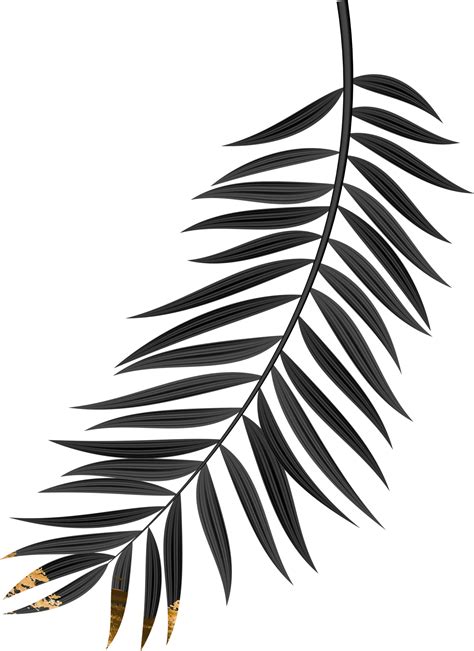 Black Leaf Png