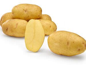 Картофель Эдисон: описание и характеристики, особенности посадки и ...