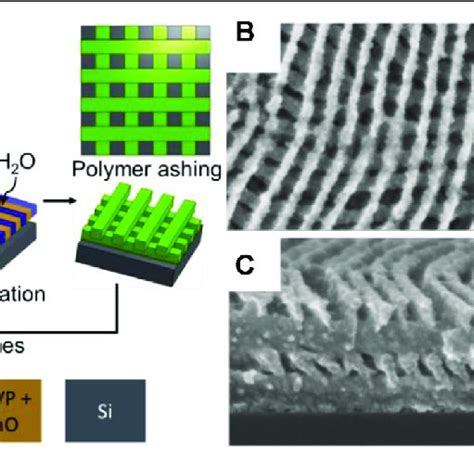 Evolution Of Pt Nanowire Linewidth Height And Cross Sectional Shape Download Scientific