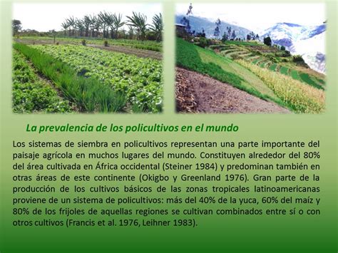 VISIÓN AGROECOLÓGICA Sistemas de Policultivos