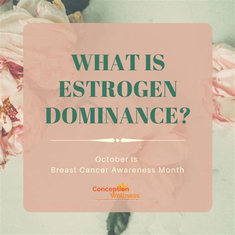 What Is Estrogen Dominance Concept Wellness