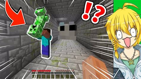 【マイクラ】絶対にやってはいけない何かがおかしいマインクラフト【まいくら・マインクラフト】 Minecraft Summary マイクラ動画