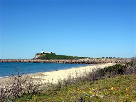 Seaside Caravan Parks: Stockton Beach Tourist Park, Newcastle NSW ...