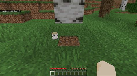 Cara Mendapatkan Birch Log Di Minecraft