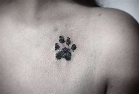 Paw Print Trail Tattoo On Back