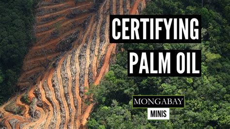 Indonesias New Sustainable Palm Oil Certification Raises Questions