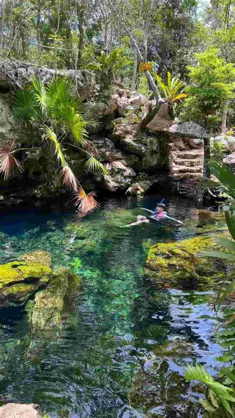 Cenote Jardin del Eden Playa del Carmen - 2023 Guide