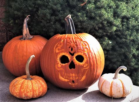 Sugar Skull Pumpkin Tutorial - Arts & Crafts Ideas