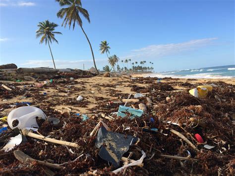 Low Tech High Impact Solutions To Ocean Plastic Pollution World