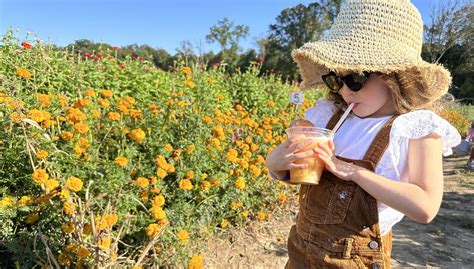 Terhune Orchards Four Seasons Of Farm Activities