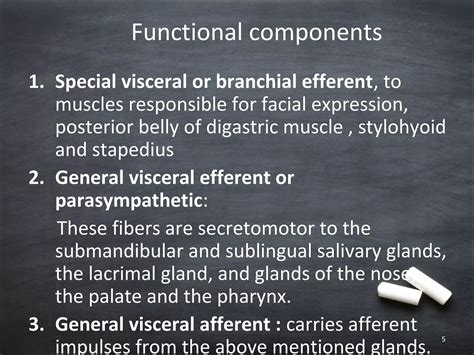 Anatomy of facial nerve | PPT | Free Download