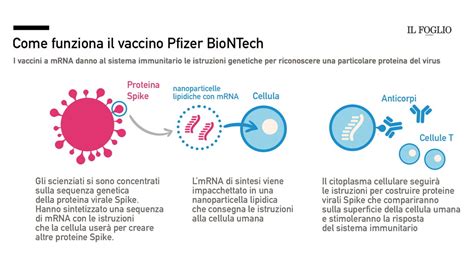 Dieci Domande E Risposte Sul Vaccino Anti Covid Il Foglio