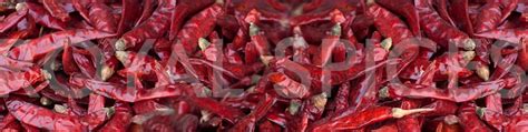 Wonder Hot Red Chilli Wonder Hot Chilli Specifications