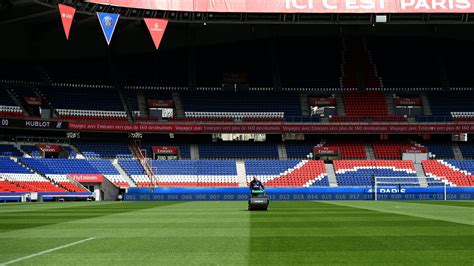 PSG comment des faucons protègent la pelouse du Parc des Princes