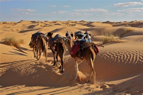 Photos Du Désert Du Sahara Vacances Guide Voyage