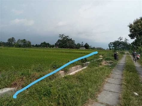 Kode TS 265 Tanah Sawah Luas Cantik Di Kalasan Sleman Yogyakarta