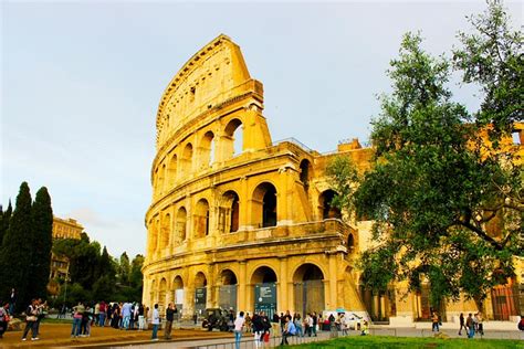 ローマ 木 イタリア - Pixabayの無料写真