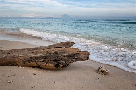 Indon Sie Tronc Mort Sur Une Plage De Gili Trawangan Pascalboegli