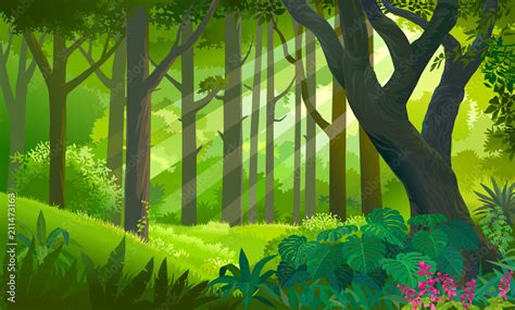 Lush Dense Green Forest With Sun Rays Touching The Plants And Trees